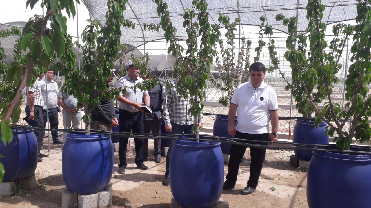 Viloyat hokimi Shavkatjon Abdurazzoqov Toʻraqoʻrgʻon tumanidagi «Gold Fresh Fruits»  MCHJ  agrologistika markazi qurilishida boʻldi.