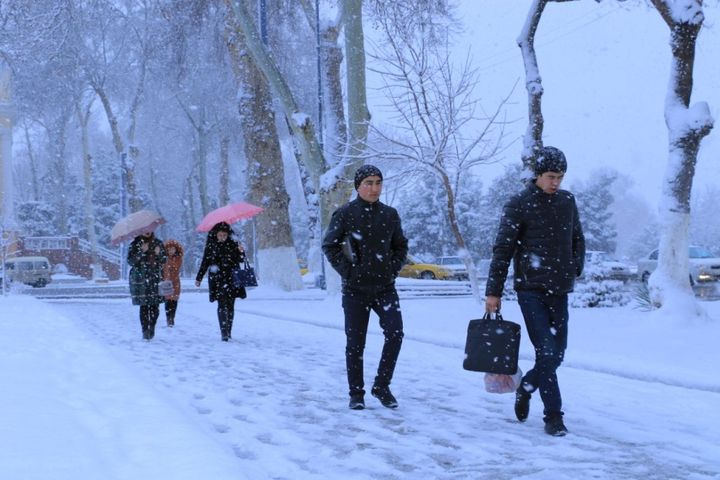 Талабалар қишки таътилни қачондан бошлашлари маълум қилинди